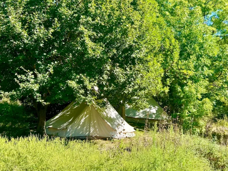 tente_drome-provencale_02